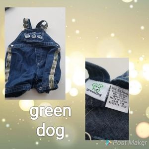 Euc Super cute boys green dog outfit